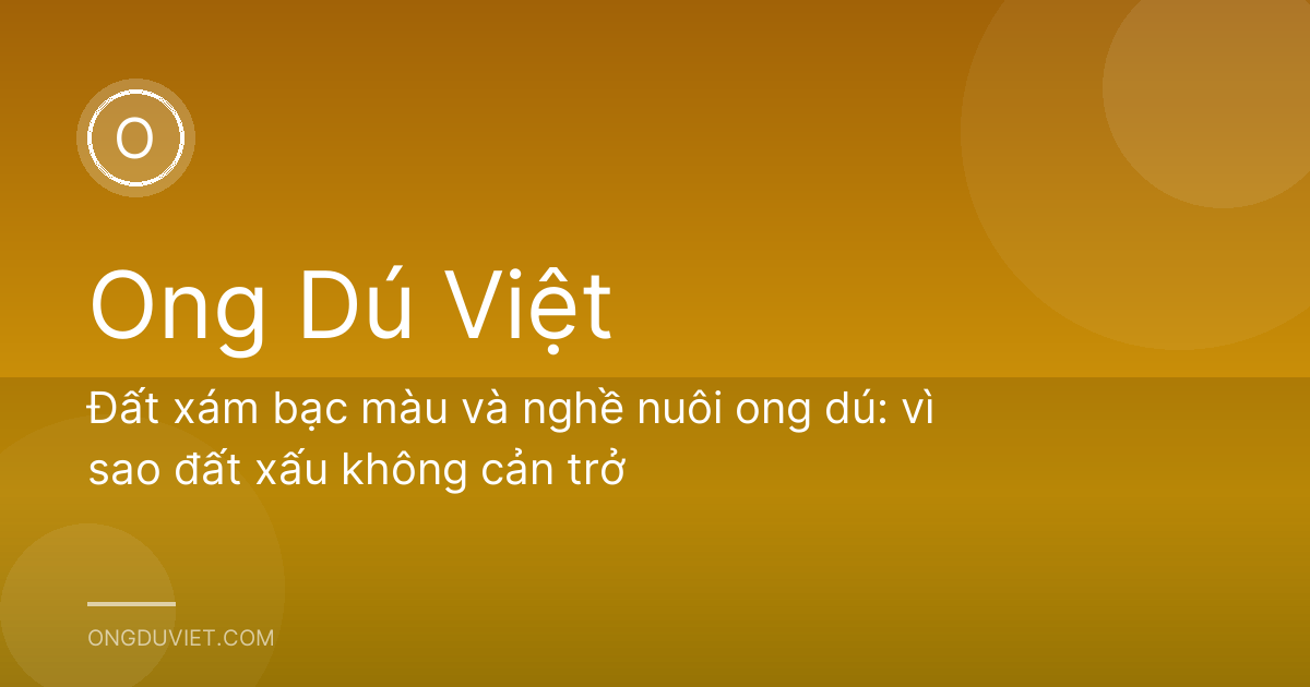 Đất xám bạc màu và nghề nuôi ong dú: vì sao đất xấu không cản trở