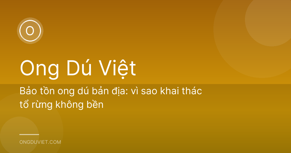 Bảo tồn ong dú bản địa: vì sao khai thác tổ rừng không bền