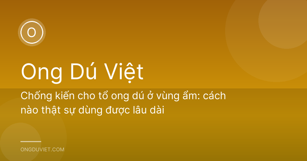 Chống kiến cho tổ ong dú ở vùng ẩm: cách nào thật sự dùng được lâu dài
