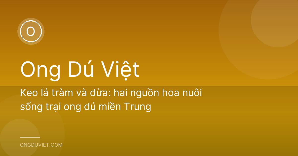 Keo lá tràm và dừa: hai nguồn hoa nuôi sống trại ong dú miền Trung