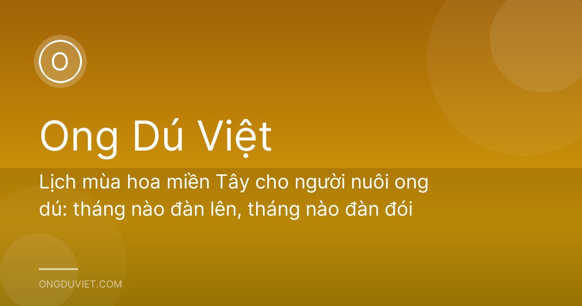 Lịch mùa hoa miền Tây cho người nuôi ong dú: tháng nào đàn lên, tháng nào đàn đói