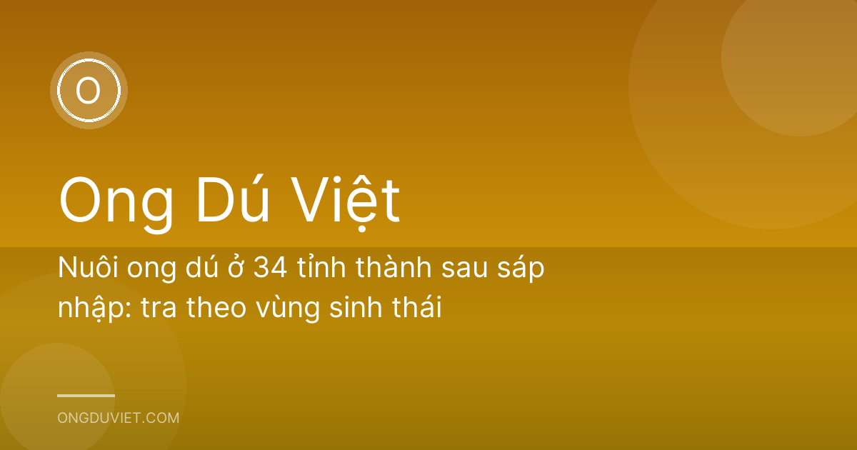 Nuôi ong dú ở 34 tỉnh thành sau sáp nhập: tra theo vùng sinh thái
