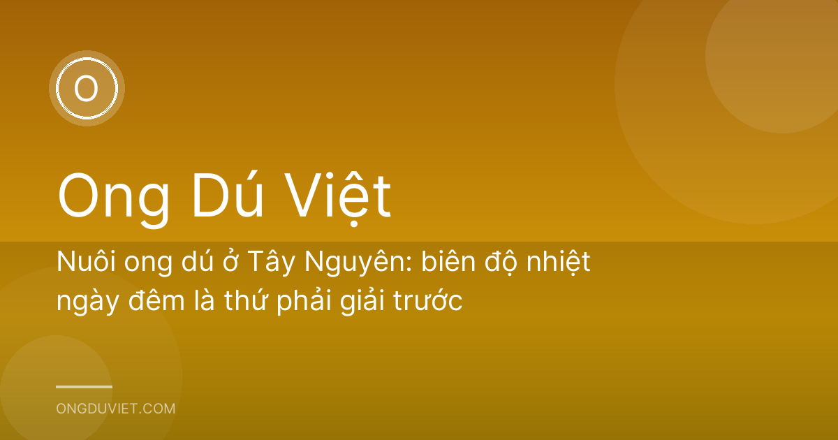 Nuôi ong dú ở Tây Nguyên: biên độ nhiệt ngày đêm là thứ phải giải trước