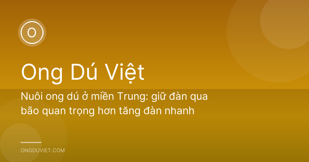 Nuôi ong dú ở miền Trung: giữ đàn qua bão quan trọng hơn tăng đàn nhanh