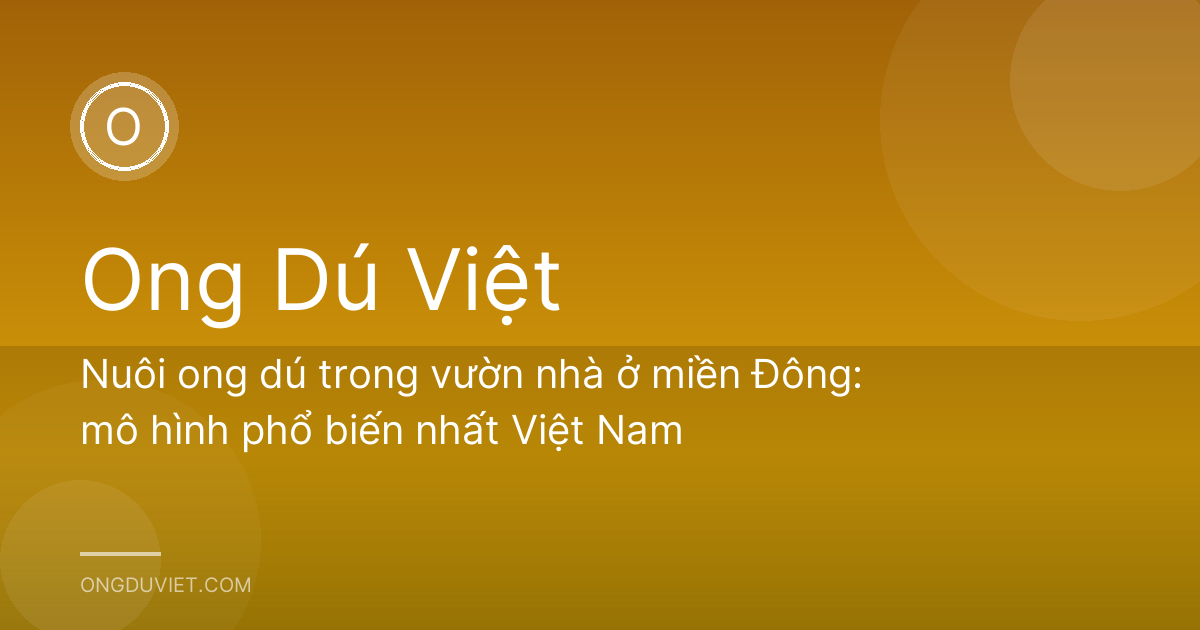 Nuôi ong dú trong vườn nhà ở miền Đông: mô hình phổ biến nhất Việt Nam
