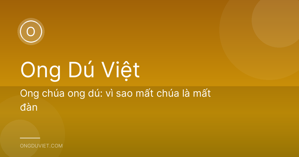 Ong chúa ong dú: vì sao mất chúa là mất đàn