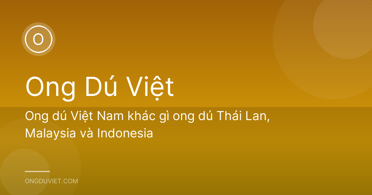 Ong dú Việt Nam khác gì ong dú Thái Lan, Malaysia và Indonesia