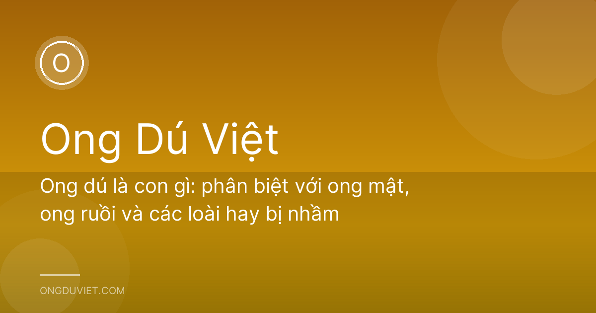 Ong dú là con gì: phân biệt với ong mật, ong ruồi và các loài hay bị nhầm