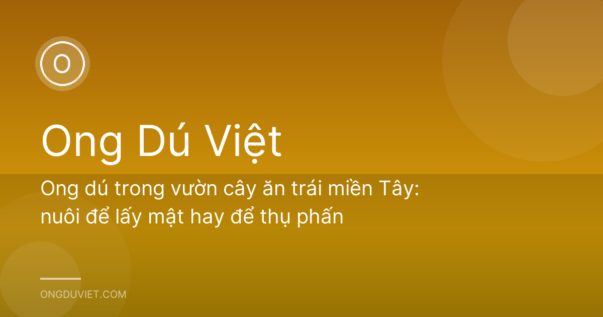Ong dú trong vườn cây ăn trái miền Tây: nuôi để lấy mật hay để thụ phấn