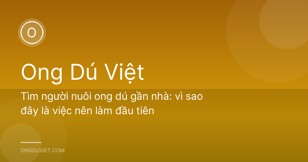 Tìm người nuôi ong dú gần nhà: vì sao đây là việc nên làm đầu tiên