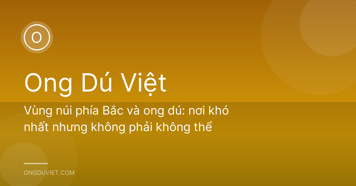 Vùng núi phía Bắc và ong dú: nơi khó nhất nhưng không phải không thể